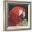 Red Macaw Parrot-Kirstie Adamson-Framed Giclee Print