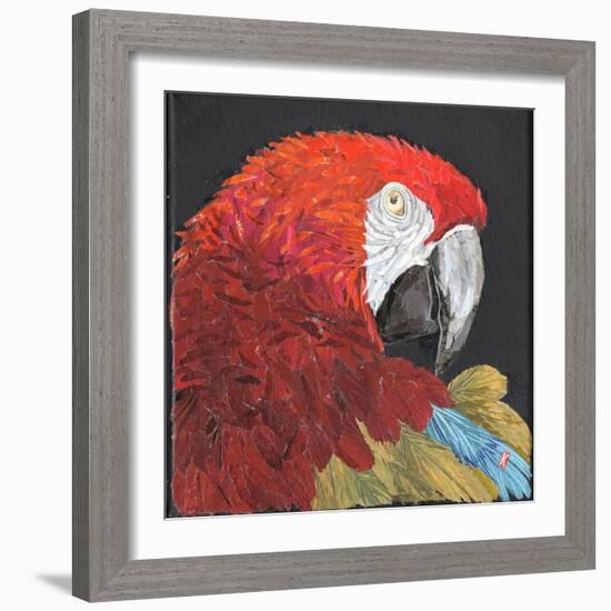 Red Macaw Parrot-Kirstie Adamson-Framed Giclee Print