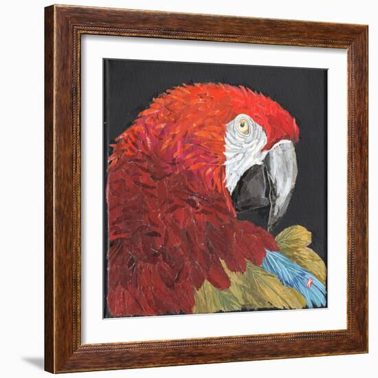 Red Macaw Parrot-Kirstie Adamson-Framed Giclee Print