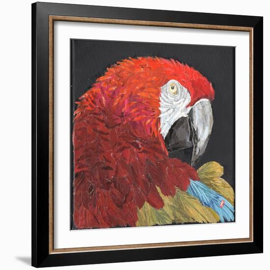 Red Macaw Parrot-Kirstie Adamson-Framed Giclee Print