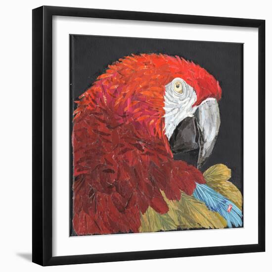 Red Macaw Parrot-Kirstie Adamson-Framed Giclee Print