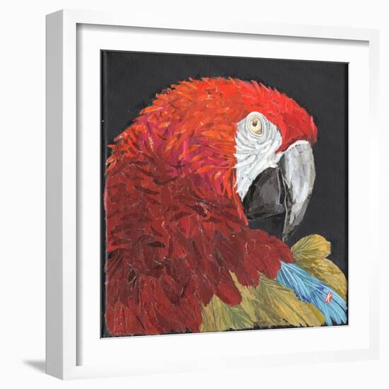 Red Macaw Parrot-Kirstie Adamson-Framed Giclee Print