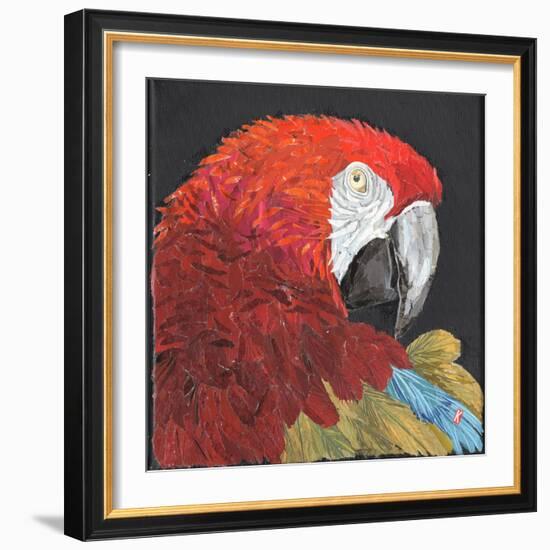 Red Macaw Parrot-Kirstie Adamson-Framed Giclee Print