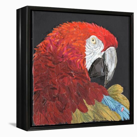 Red Macaw Parrot-Kirstie Adamson-Framed Premier Image Canvas