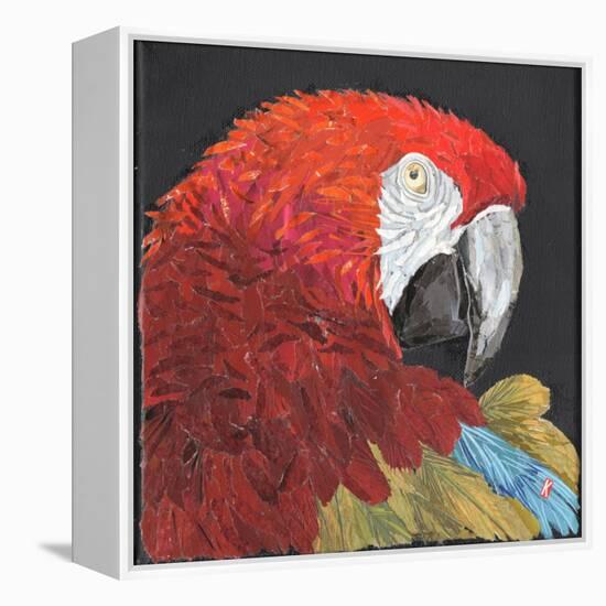 Red Macaw Parrot-Kirstie Adamson-Framed Premier Image Canvas