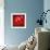 Red Magellan I-Douglas-Framed Giclee Print displayed on a wall