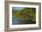 Red Mangrove (Rhizophora Mangle), Galapagos Islands, Ecuador-Pete Oxford-Framed Photographic Print