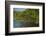 Red Mangrove (Rhizophora Mangle), Galapagos Islands, Ecuador-Pete Oxford-Framed Photographic Print