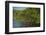 Red Mangrove (Rhizophora Mangle), Galapagos Islands, Ecuador-Pete Oxford-Framed Photographic Print