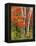 Red Maple and Birch Trees-James Randklev-Framed Premier Image Canvas