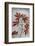 Red Maple-Secundino Losada-Framed Photographic Print