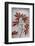 Red Maple-Secundino Losada-Framed Photographic Print