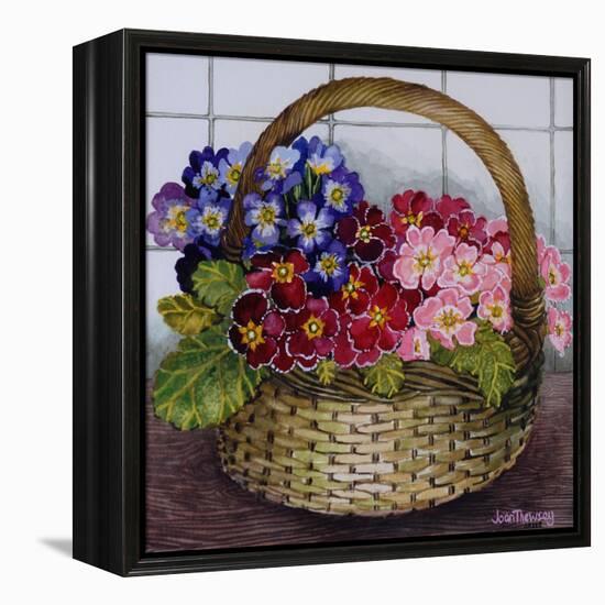 Red Mauve and Pink Primroses in a Basket, 2012-Joan Thewsey-Framed Premier Image Canvas