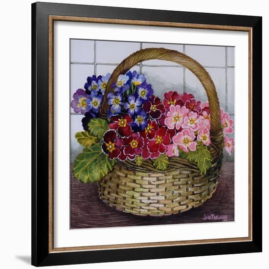 Red Mauve and Pink Primroses in a Basket, 2012-Joan Thewsey-Framed Giclee Print