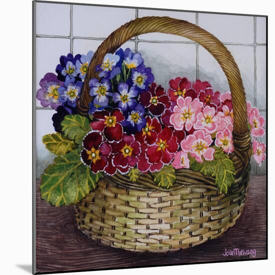 Red Mauve and Pink Primroses in a Basket, 2012-Joan Thewsey-Mounted Giclee Print