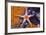 Red Mesh Starfish, Fromia Monilis, Ambon, the Moluccas, Indonesia-Reinhard Dirscherl-Framed Photographic Print