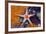 Red Mesh Starfish, Fromia Monilis, Ambon, the Moluccas, Indonesia-Reinhard Dirscherl-Framed Photographic Print