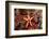 Red-Mesh Starfish (Fromia Monilis), Indian Ocean.-Reinhard Dirscherl-Framed Photographic Print