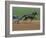 Red Mile Harness Track, Lexington, Kentucky, USA-null-Framed Photographic Print