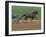 Red Mile Harness Track, Lexington, Kentucky, USA-null-Framed Photographic Print