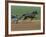 Red Mile Harness Track, Lexington, Kentucky, USA-null-Framed Photographic Print