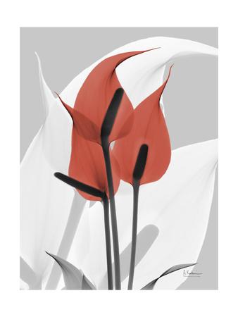 Flamingo Albert Transparent Background