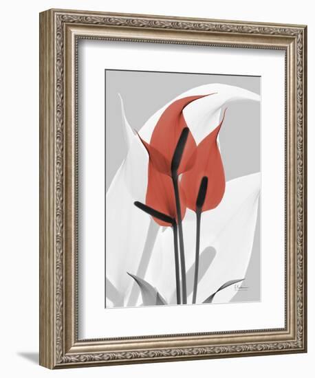 Red Moment Flamingo-Albert Koetsier-Framed Premium Giclee Print