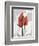 Red Moment Flamingo-Albert Koetsier-Framed Premium Giclee Print