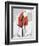 Red Moment Flamingo-Albert Koetsier-Framed Premium Giclee Print