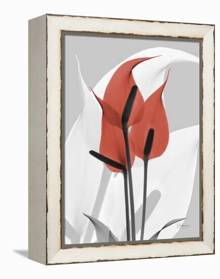 Red Moment Flamingo-Albert Koetsier-Framed Stretched Canvas
