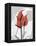 Red Moment Flamingo-Albert Koetsier-Framed Stretched Canvas