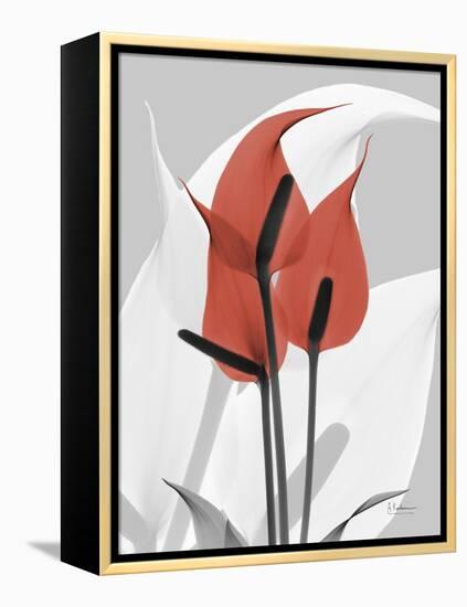 Red Moment Flamingo-Albert Koetsier-Framed Stretched Canvas