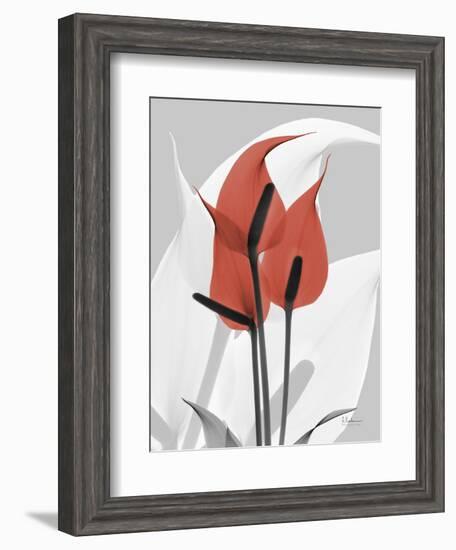 Red Moment Flamingo-Albert Koetsier-Framed Art Print