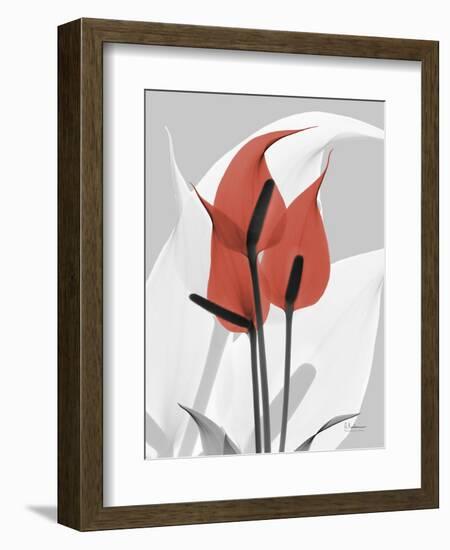 Red Moment Flamingo-Albert Koetsier-Framed Art Print