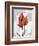 Red Moment Flamingo-Albert Koetsier-Framed Art Print