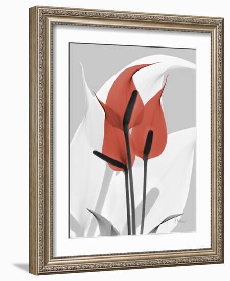 Red Moment Flamingo-Albert Koetsier-Framed Art Print