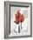 Red Moment Flamingo-Albert Koetsier-Framed Art Print