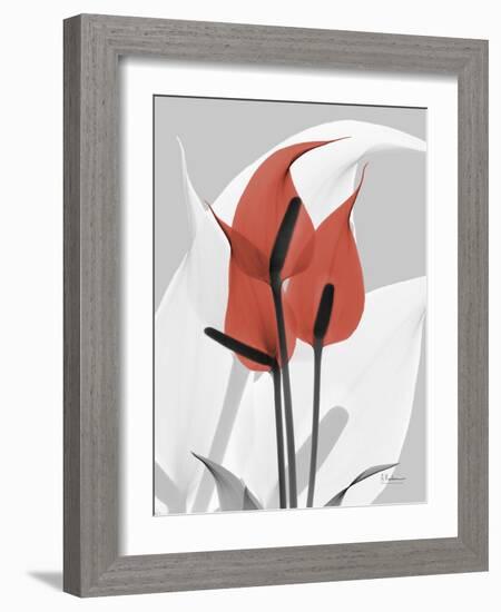 Red Moment Flamingo-Albert Koetsier-Framed Art Print