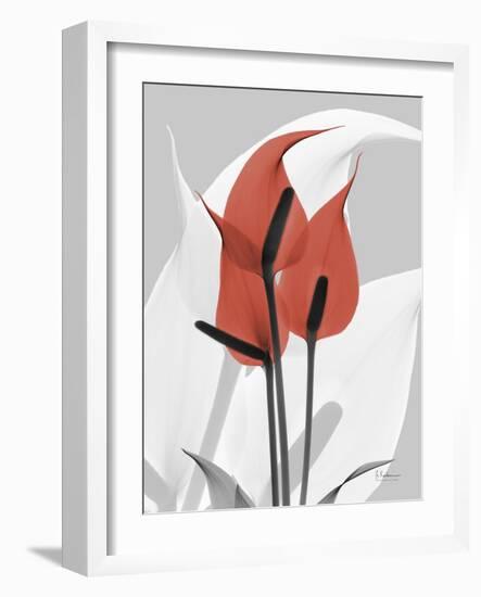 Red Moment Flamingo-Albert Koetsier-Framed Art Print