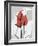 Red Moment Flamingo-Albert Koetsier-Framed Art Print