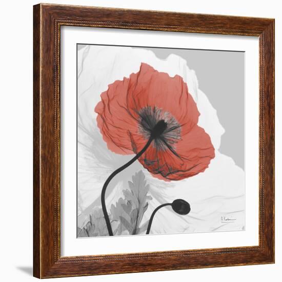 Red Moment Poppy 1-Albert Koetsier-Framed Art Print