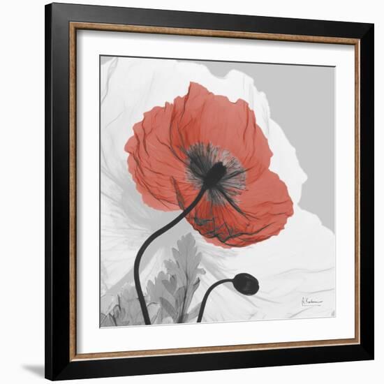 Red Moment Poppy 1-Albert Koetsier-Framed Art Print