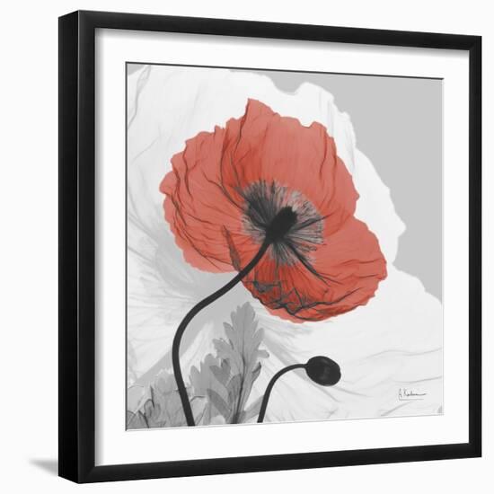 Red Moment Poppy 1-Albert Koetsier-Framed Art Print