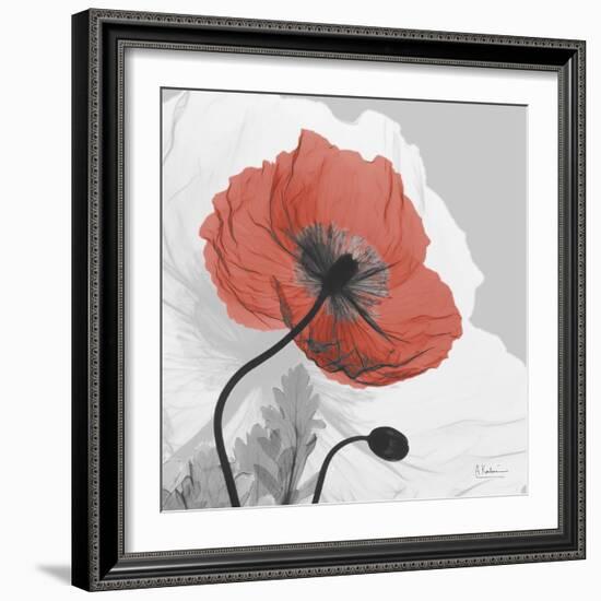 Red Moment Poppy 1-Albert Koetsier-Framed Art Print