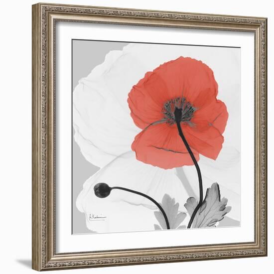 Red Moment Poppy 2-Albert Koetsier-Framed Art Print