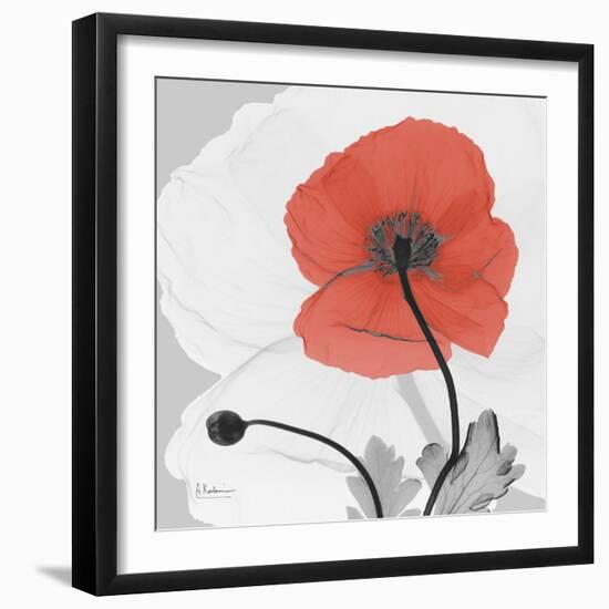 Red Moment Poppy 2-Albert Koetsier-Framed Art Print