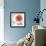 Red Moment Poppy 2-Albert Koetsier-Framed Art Print displayed on a wall