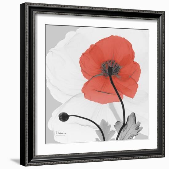 Red Moment Poppy 2-Albert Koetsier-Framed Art Print