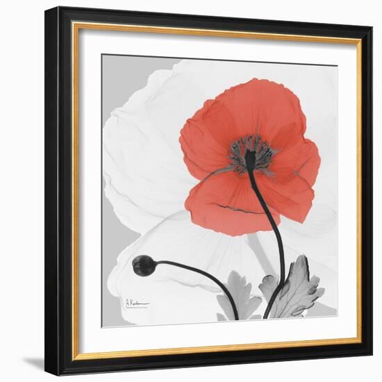 Red Moment Poppy 2-Albert Koetsier-Framed Art Print