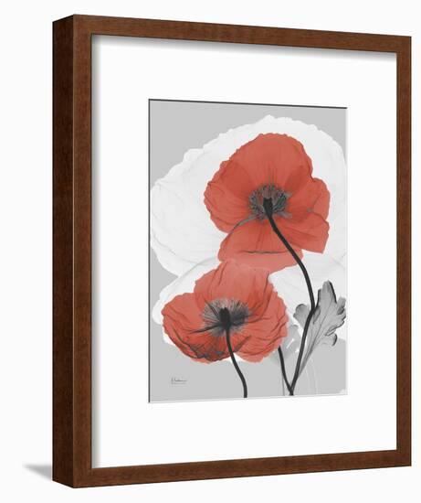 Red Moment Poppy-Albert Koetsier-Framed Premium Giclee Print